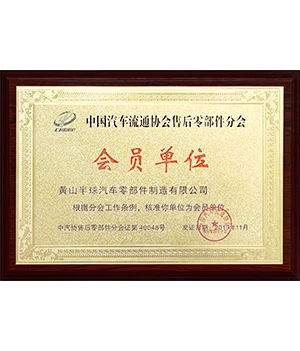 Member unit of Aftermarket Parts Branch of China Automobile Association